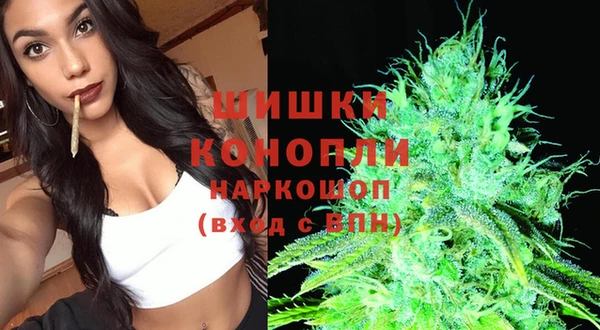 дживик Армянск