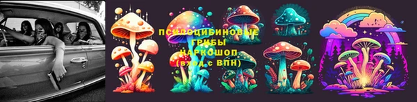 не бодяженный Аркадак