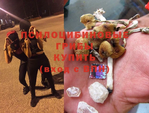 не бодяженный Аркадак
