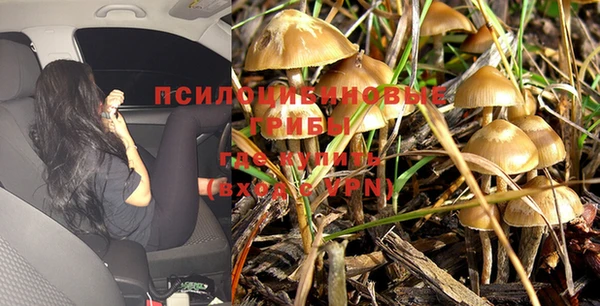 дживик Армянск
