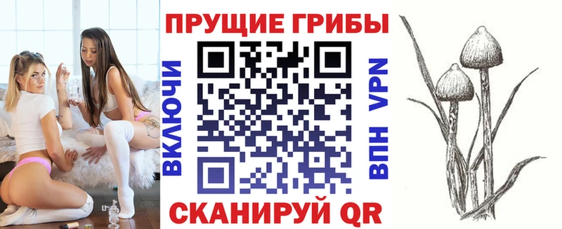 Псилоцибиновые грибы Cubensis Липки