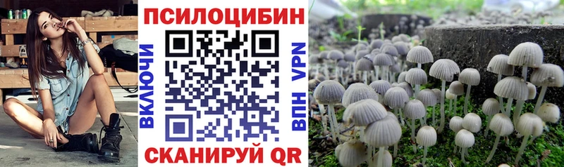 купить наркотики цена  Липки  Псилоцибиновые грибы Psilocybe 